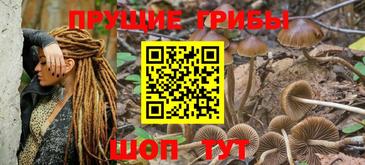 Галлюциногенные грибы Cubensis  Галлюциногенные грибы Magic Shrooms  Вход с VPN  Россия 