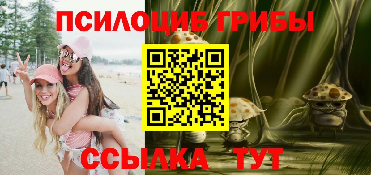 Псилоцибиновые грибы Cubensis Россия